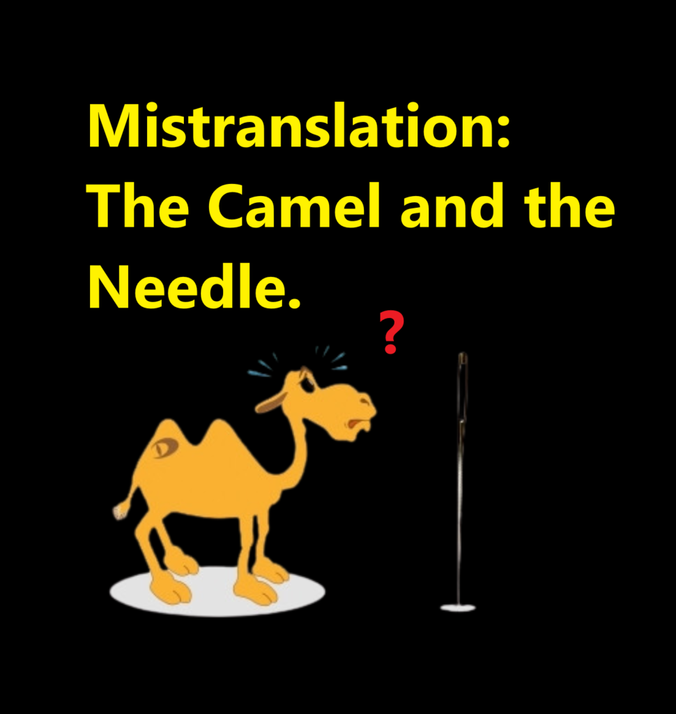 the camel and needle